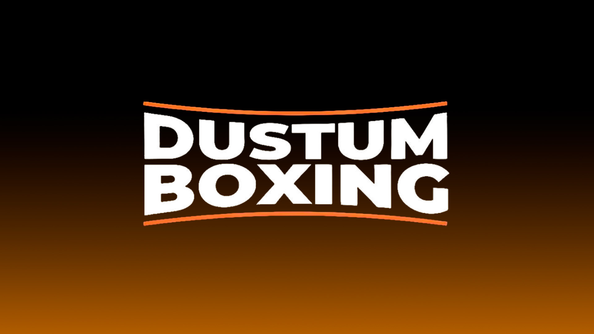 Профессиональный бокс. Турнир " Dustum Boxing" [12+]